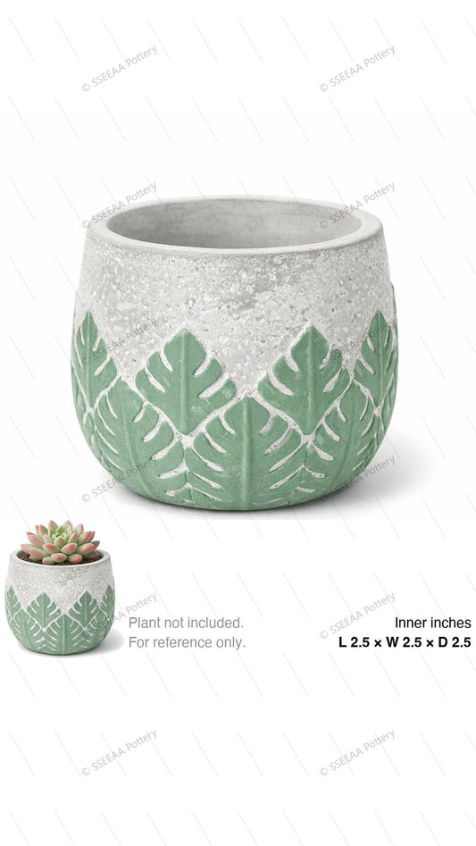pottery_202601_plants_3 · L2.5 W2.5 H2.5