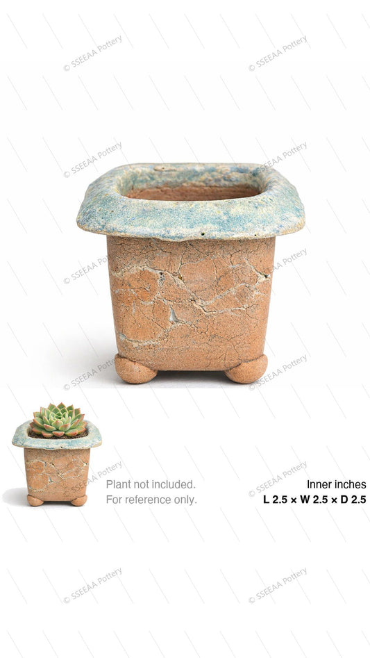 pottery_202601_forest_27 · L2.5 W2.5 H2.5