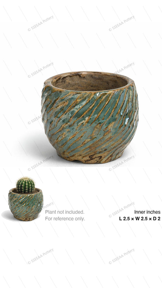 pottery_202604_forest_53 · L2.5 W2.5 H2